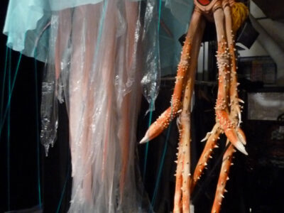 méduse et costume d'araignée de mer en coulisses