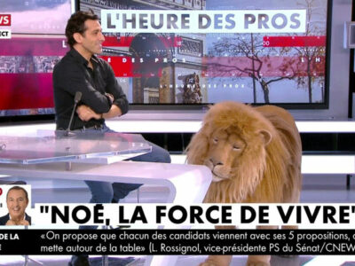 Le lion avec Essï Altounian sur le plateau de Pascal Praud